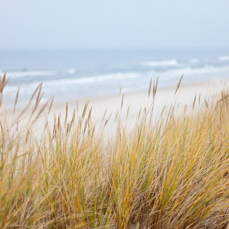 dunes-1936086_1280